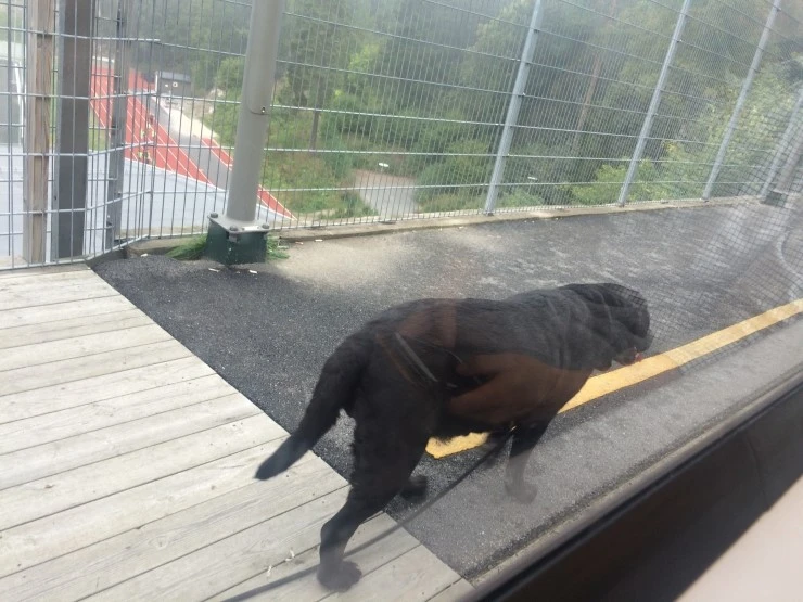 IMG_1455.JPG?type=w2