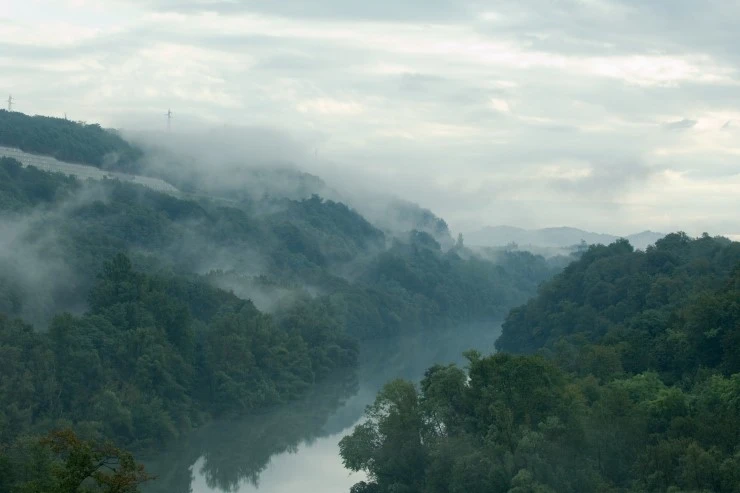 %B0%AD%B9%B02.jpg?type=w2