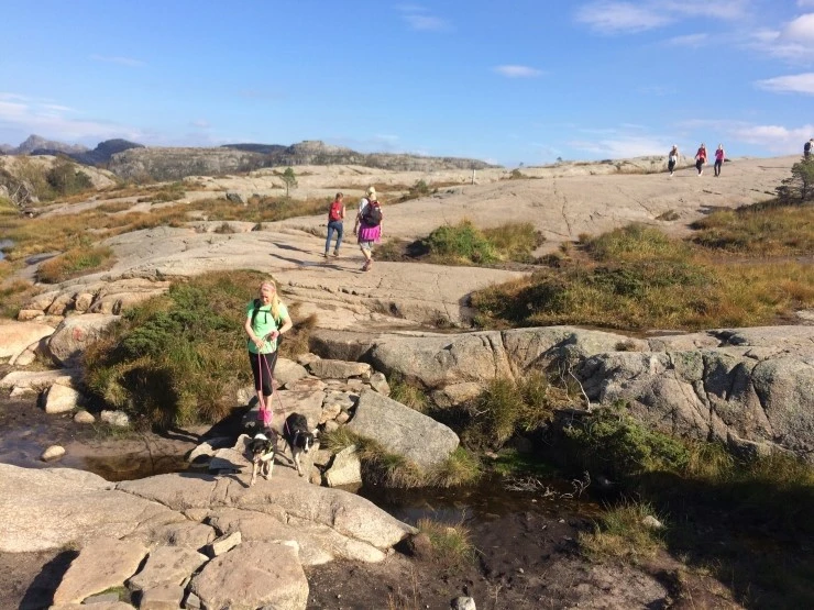 IMG_1197.JPG?type=w2