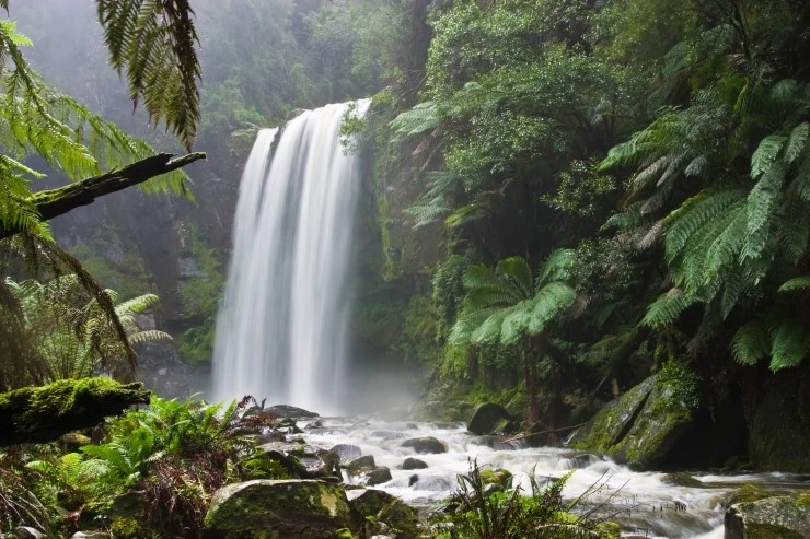 Hopetoun_falls.jpg?type=w2