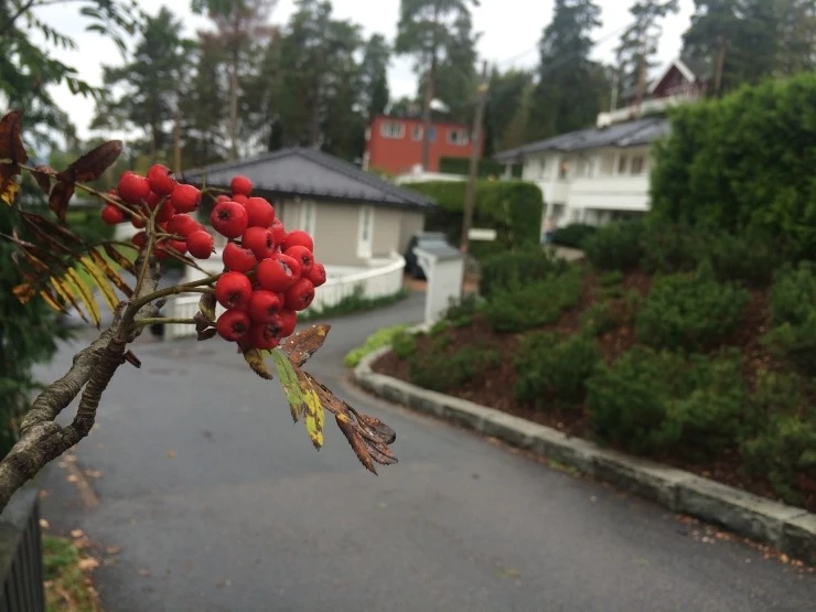 IMG_1766.JPG?type=w2