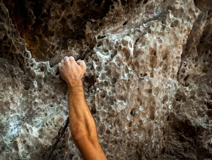 o-RESILIENCE-facebook.jpg?type=w2