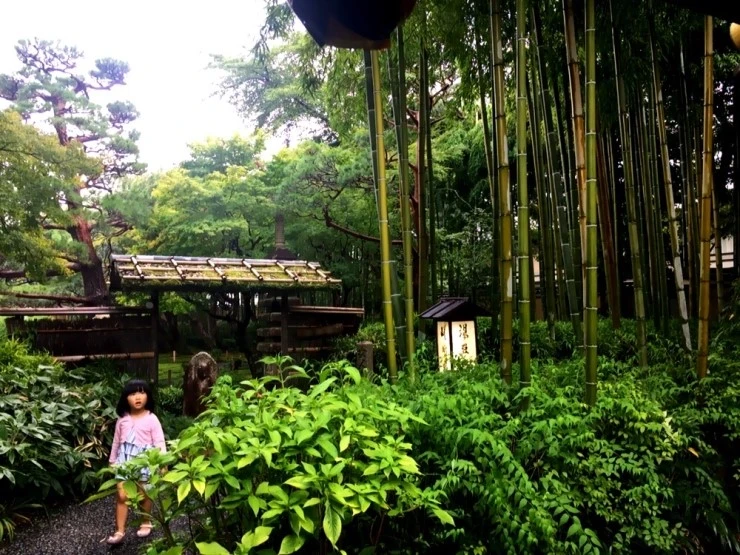 IMG_4393.JPG?type=w2