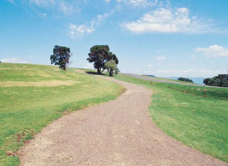 a0001tc000969.jpg?type=w2