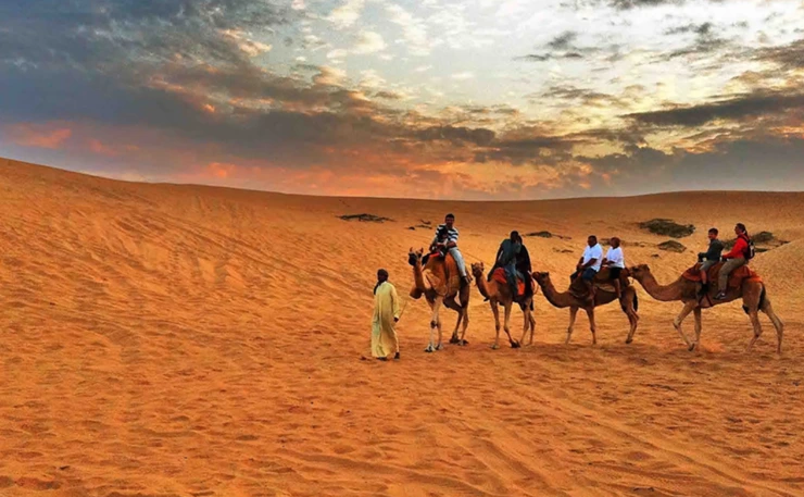 %B3%AB%C5%B8.png?type=w2