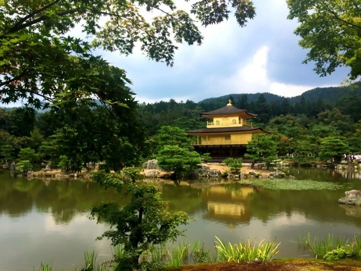 IMG_4330.JPG?type=w2