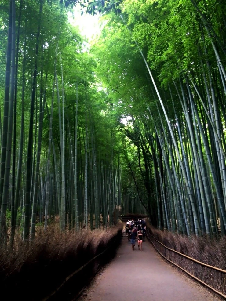 IMG_4372.JPG?type=w2