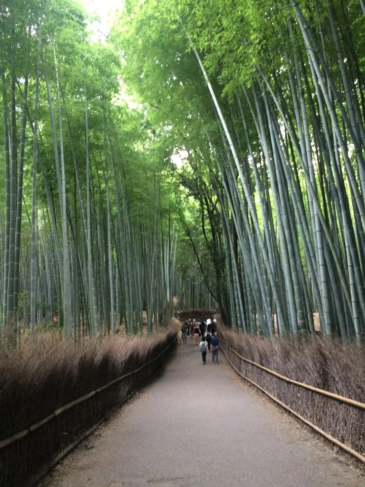 IMG_0502.JPG?type=w2