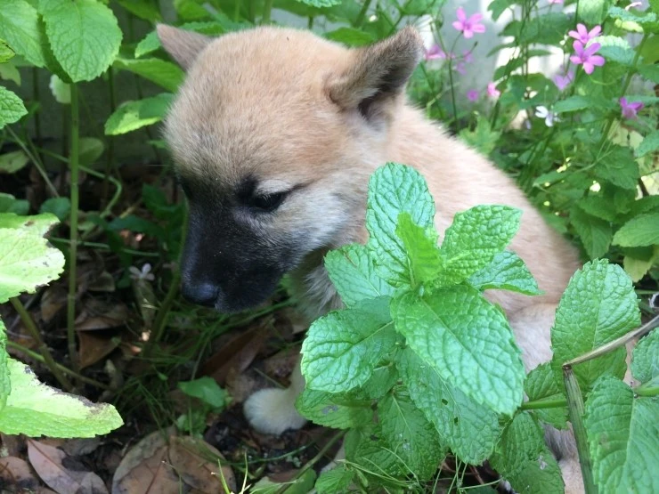 IMG_8558.JPG?type=w2