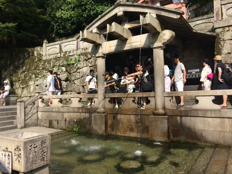 IMG_0411.JPG?type=w2