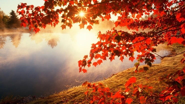 Red-autumn-morning.jpg?type=w2