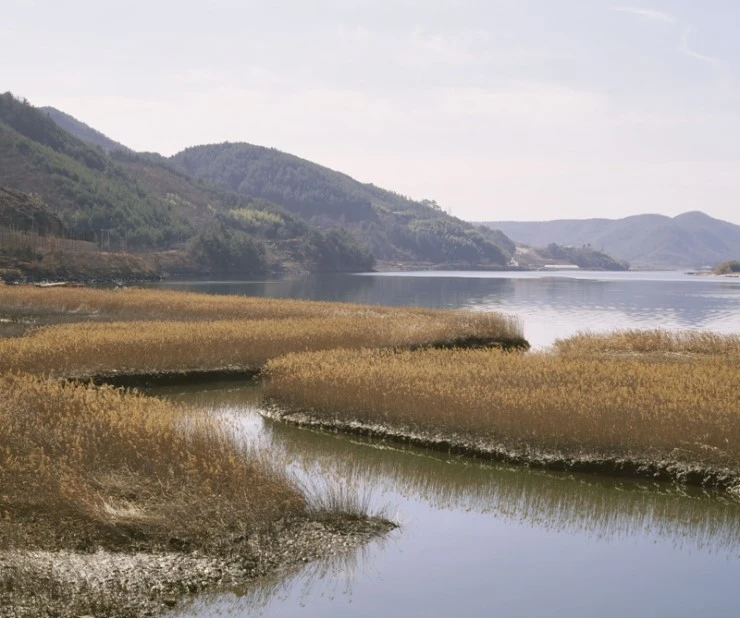 trs026tg0833.jpg?type=w2