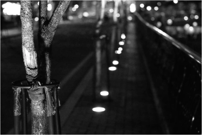 %C8%E6%B9%E92.png?type=w2