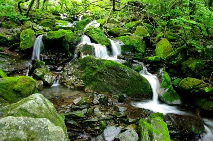 %C5%A9%B1%E2_I1.JPG?type=w2