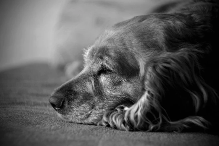 sadness_by_s1yk.jpg?type=w2