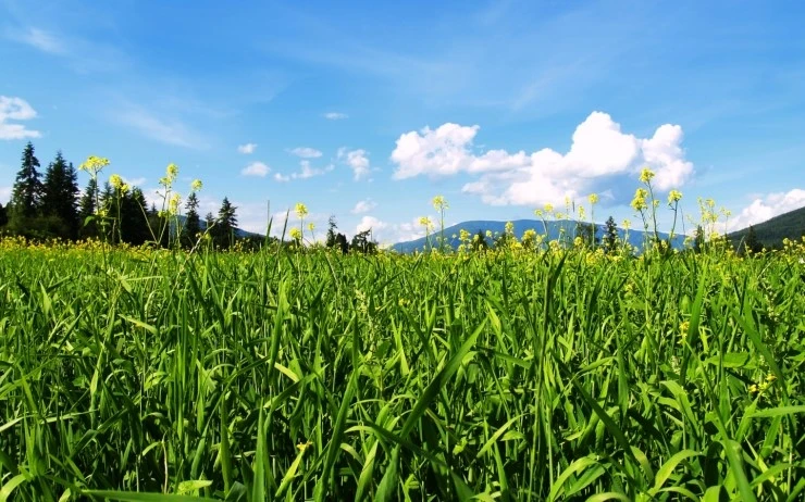 Summer-Wallpaper-HD-47.jpg?type=w2