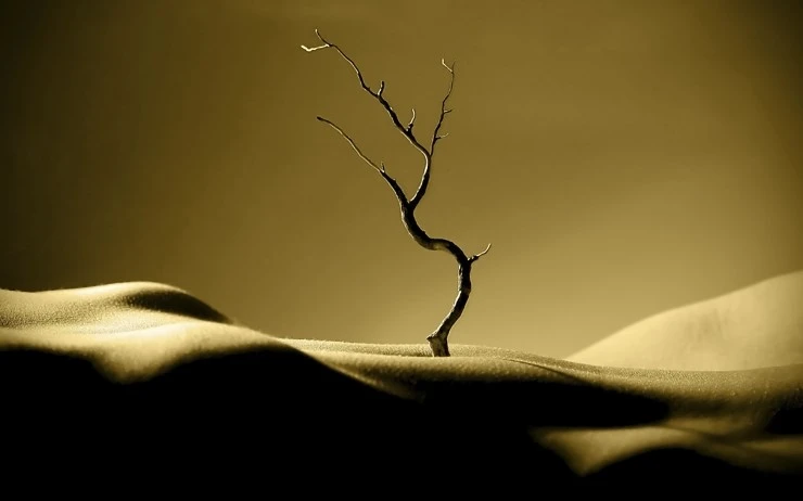 fine_art-wide.jpg?type=w2