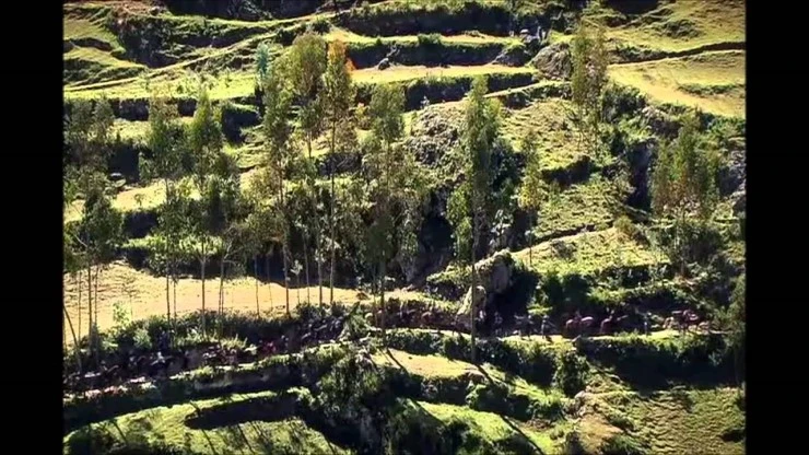 maxresdefault1.jpg?type=w2