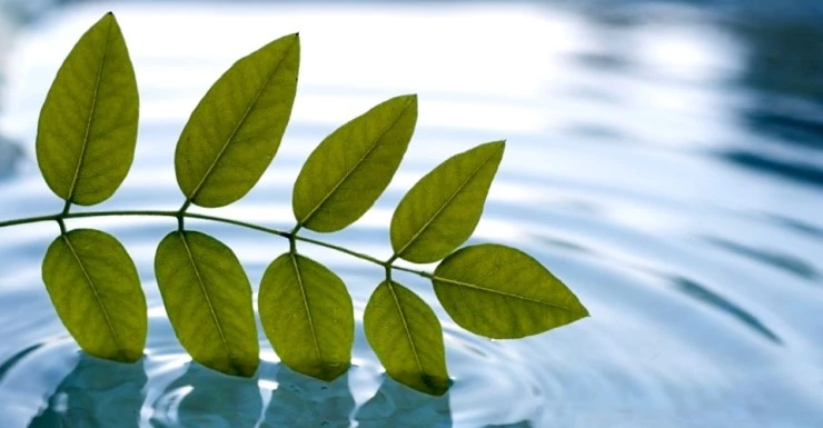 Hero-Image-LifeSciences-General.jpg?type=w2