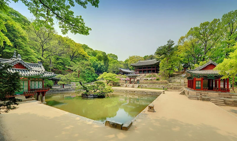 창덕궁 부용지.jpeg