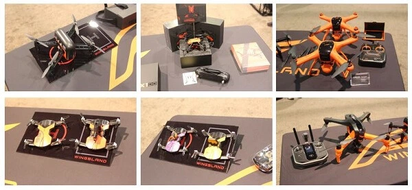 180113 wingsland.JPG