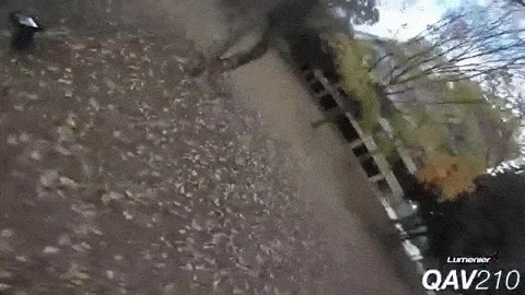 4.jRLJNl.gif?type=w1200