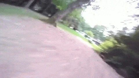 6.mZGPpR.gif?type=w1200