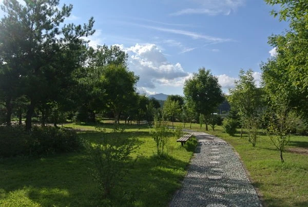 2.picnic_rock_opt.jpg?type=w1200