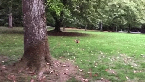 3.W6mBjn.gif?type=w1200