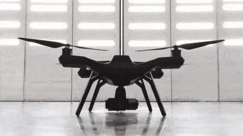 solo2.gif