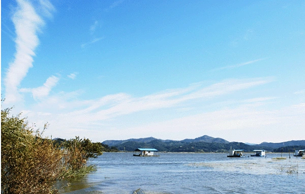 4.picnic_yedang_opt.gif?type=w1200