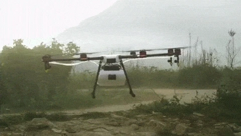 9.v2YZ9m.gif?type=w1200