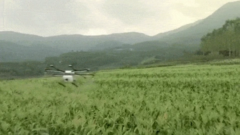 7.1wY4YR.gif?type=w1200