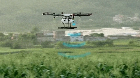 10.G6Y8xr.gif?type=w1200