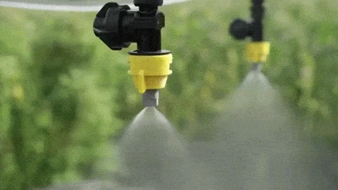 11.lYv7m7.gif?type=w1200