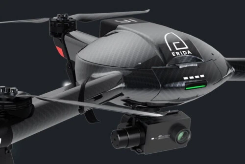 190107 Carbon_erida.JPG