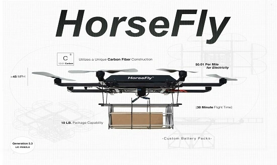 180525 horsefly 3.JPG