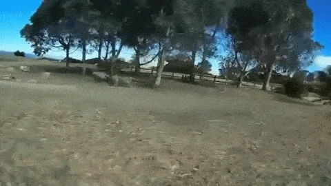 2.wpZgpw.gif?type=w1200