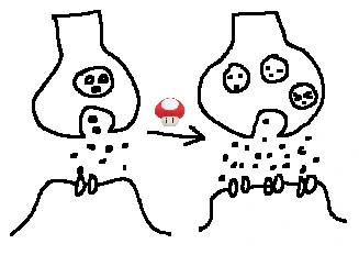 %EC%8B%9C%EB%83%85%EC%8A%A4%EA%B0%95%ED%99%94.png?type=w966