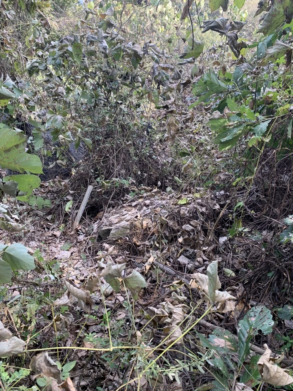 twitter_73fa89d82efa7b9d5e2cf61fe91a33dd.jpeg?type=w1