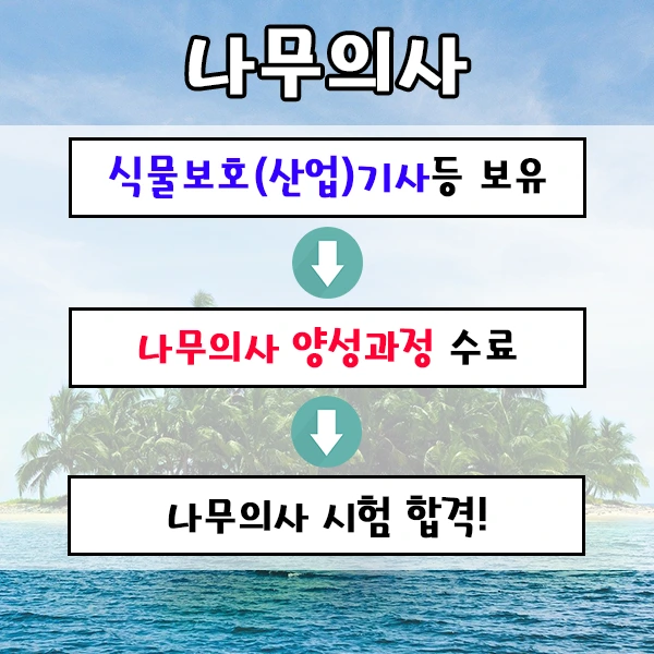 %EB%82%98%EB%AC%B4%EC%9D%98%EC%82%AC%EC%9E%90%EA%B2%A9%EC%A6%9D-2%EB%AC%B8%EB%8B%A8.png?type=w1