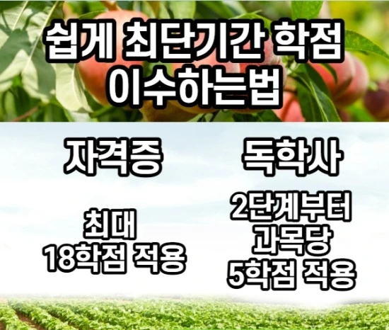 %EC%A0%9C%EB%AA%A9%EC%9D%84_%EC%9E%85%EB%A0%A5%ED%95%B4%EC%A3%BC%EC%84%B8%EC%9A%94._004.jpg?type=w2