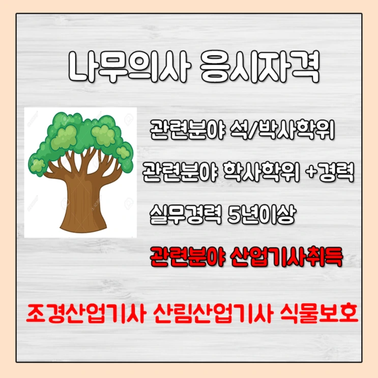 %EB%82%98%EB%AC%B4%EC%9D%98%EC%82%AC.png?type=w2