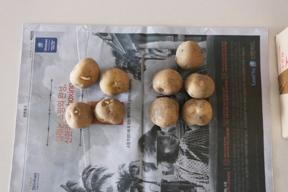 IMG_8711.JPG?type=w1