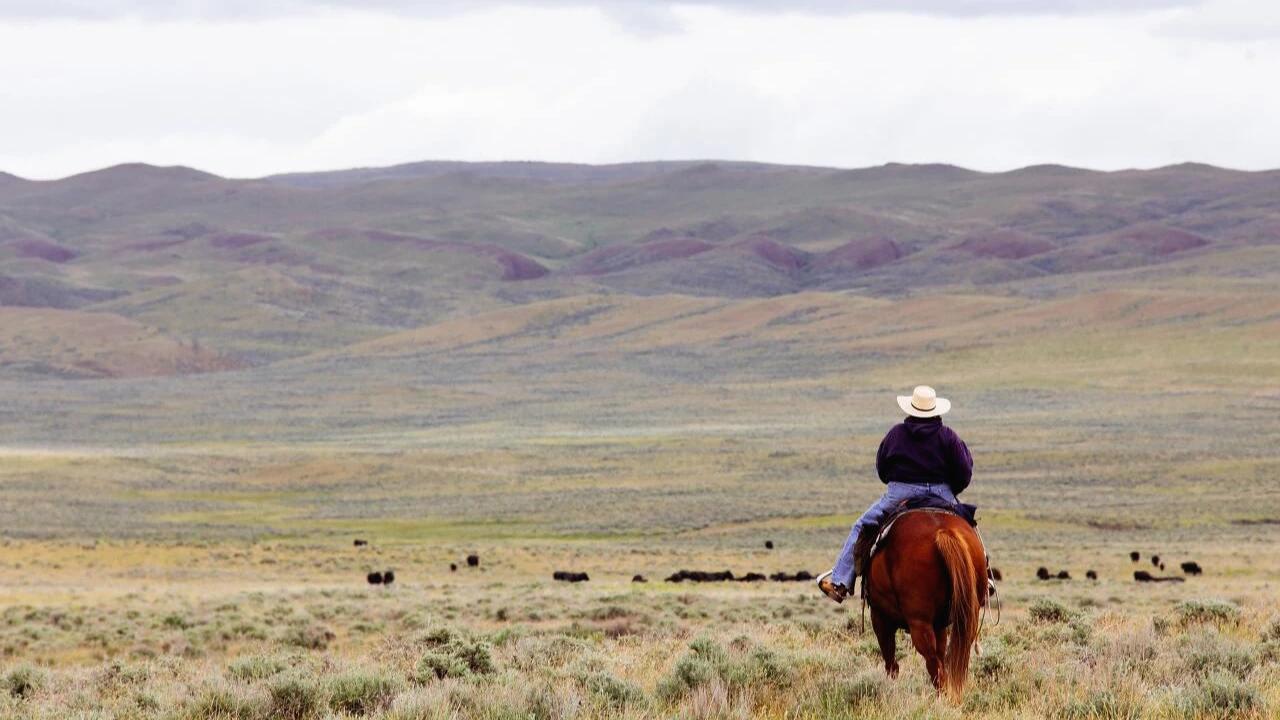 photo-1550952527-d08aacac6cc3?ixid=MnwxMjA3fDB8MHxwaG90by1wYWdlfHx8fGVufDB8fHx8&amp;ixlib=rb-1.2.1&amp;auto=format&amp;fit=crop&amp;w=1000&amp;q=80