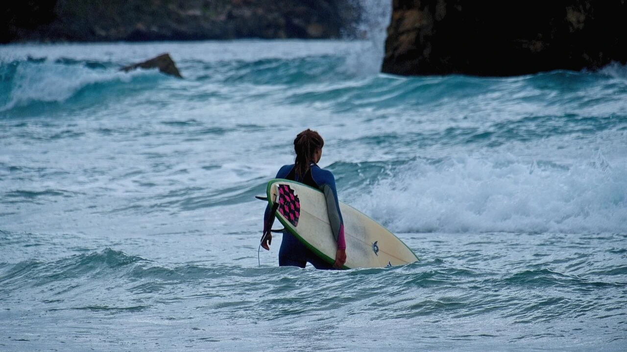 photo-1568462172950-8a3ba6afef96?ixlib=rb-1.2.1&amp;ixid=MnwxMjA3fDB8MHxwaG90by1wYWdlfHx8fGVufDB8fHx8&amp;auto=format&amp;fit=crop&amp;w=1000&amp;q=80