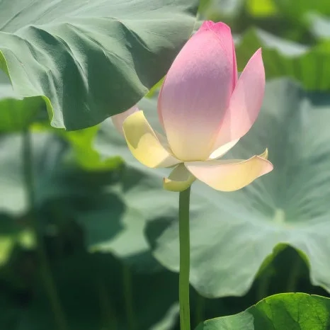 KakaoTalk_20250803_190234101_16.jpg?type=w466