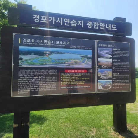 KakaoTalk_20250803_190234101_20.jpg?type=w466