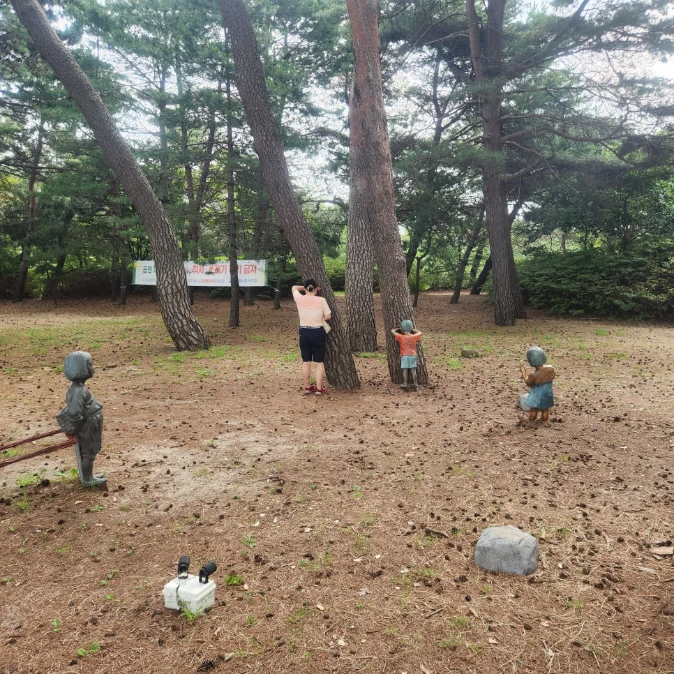 KakaoTalk_20250803_190234101_09.jpg?type=w966