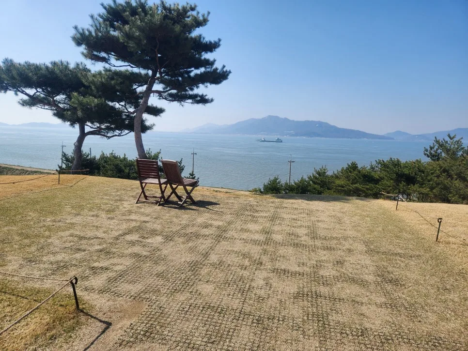 20250411_152540.jpg?type=w966